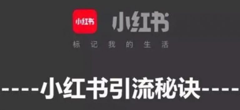 小红书买粉丝多少钱