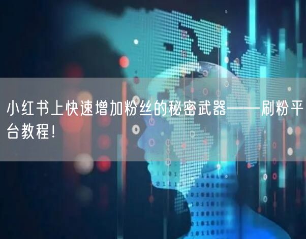 小红书上快速增加粉丝的秘密武器——刷粉平台教程！