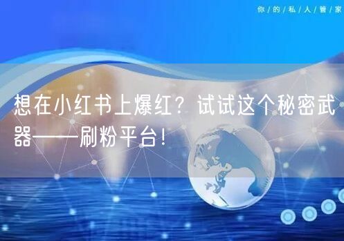 想在小红书上爆红？试试这个秘密武器——刷粉平台！