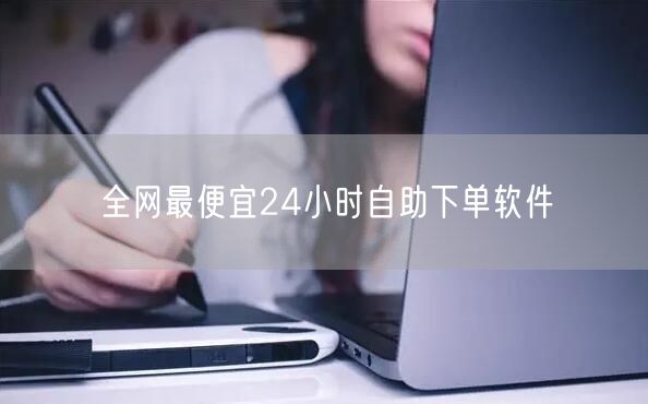 全网最便宜24小时自助下单软件