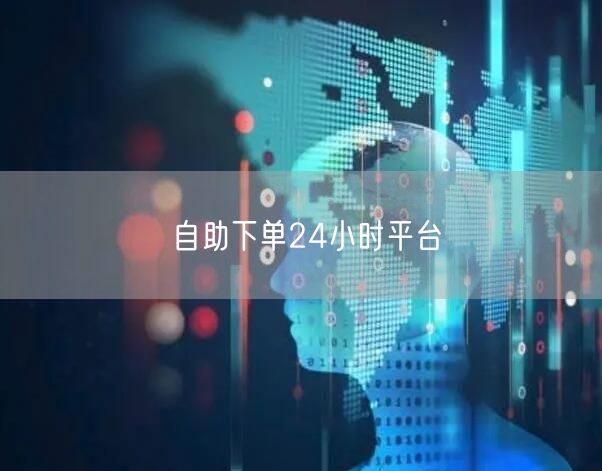 自助下单24小时平台