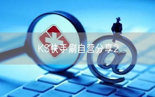 KS快手刷自营分享2