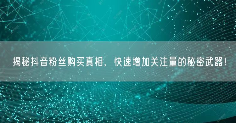 揭秘抖音粉丝购买真相，快速增加关注量的秘密武器！