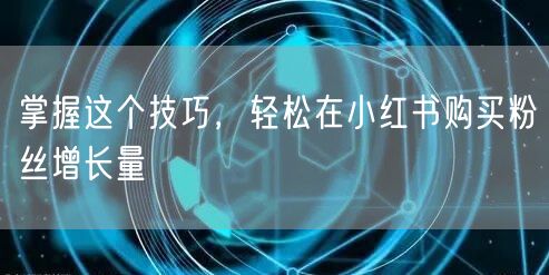 掌握这个技巧，轻松在小红书购买粉丝增长量